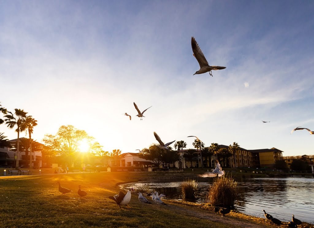 Homes for Sale in Winter Park